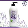 ARBORA Hand & Body Lotion LAVENDER OLIVE 25.4OZ/750ML Paraben Free Natural Ultra-Moisturizing, Professional Massage Lotion Original from Korea