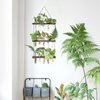 Mkono Plant Propagation Tubes, 3 Tiered Wall Hanging Terrarium with Wooden Stand Mini Test Tube Flower Vase Glass Planter Stations for Hydroponic Cutting Home Garden Office Decor Plant Lover Gift