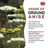 Spicy World Ground Anise Powder 7 Ounce - Anise Seeds Ground, Pure & Natural, Great for baking, cooking, and even tea