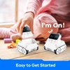Makeblock Panda Codey Rocky Interactive Robot Toy for Kids to Learn Coding, Robotics, and Programming