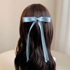 Ahoney 6pcs Satin Bow Hair Clips for Women Girls, Hair Bows Ribbons for Hair Bowknot Hair Clips with Long Tail, Coquette Long Hair Accessories Barrettes Hair Clips With Bow (Classic)