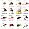 Fly Fishing Flies Assortment Kit 100pcs Dry Wet Nyphms Popper Streamer for Trout Bass Steelhead Fish (100PCS Fishing Flies Kit)