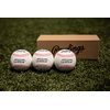 Rawlings | Official League Recreational Use Practice Baseballs | OLB3 | Youth/8U | 3 Count