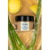 UMA Total Rejuvenation Honey & Lemon Mask for banishing acne-causing buildup and imparting dewiness to the complexion | Ultra-hydrating Face Mask | 100% Natural & Cruelty-free Skincare (0.7 oz)