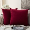 MIULEE Pack of 2 Velvet Soft Solid Decorative Square Throw Pillow Covers Set Cushion Cases Pillowcases for Sofa Bedroom Couch Car18x18 Inch 45x45 Cm