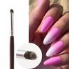 1 Pc Professional Nail Art Brush/Manicure Gel Polish Brush/Gradual Color Blooming Nail Drawing Pen