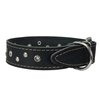 Dogs My Love Genuine Leather Dog Collar Studded 1.5" Wide, 16.5"-20" Neck (Black)