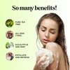 Tea Tree Oil Body Wash - Hydrating Shower Gel Tea Tree Body Wash for Women and Men - Women and Mens Body Soap with Peppermint and Tea Tree Essential Oil and Moisturizing Body Wash for Dry Skin Care