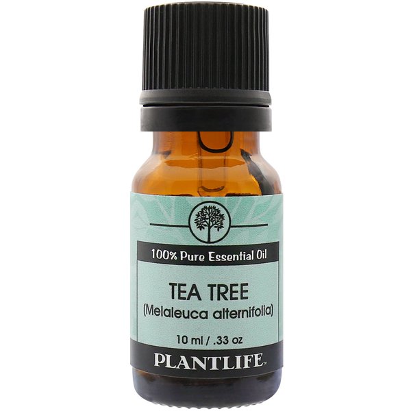 Plantlife Tea Tree Aromatherapy Essential Oil - Straight From The Plant 100% Pure Therapeutic Grade - No Additives or Fillers - 10 ml