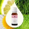 Plant Therapy KidSafe Tummy All Better Essential Oil Blend 10 mL (1/3 oz) 100% Pure, Undiluted, Therapeutic Grade
