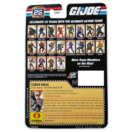 G.I. Joe 25th Anniversary: Classic Storm Shadow (Cobra Ninja) 3.75 Inch Action Figure