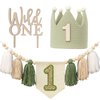 Wild One High Chair Banner For 1st Birthday Party Boy Decorations With Green Tassel Garland Crown Hat Wild One Cake Topper