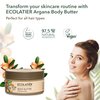 Organic Argana Body Butter - 97.5% Natural ingredients - for Deep Revival, Vegan whipped body butter - Nourishing Argan Oil & Shea Butter for Soft Skin - ECOLATIER 6.8 Fl Oz / 200ml