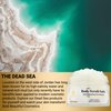 Dead Sea Salt Scrub by Bold Beautiful Cosmetics Lavender & Matricaria Scent Natural Body Scrub For Women and Men 14oz