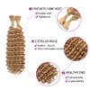 Deep Wave Bulk hair for Braiding Wet and Wavy Micro Braiding No Weft Faux Deep Wave Braiding Hair Extensions for Box Boho Braids 160g with 2 Bundles #27 (24Inch)