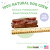 Nature Gnaws Steer Sticks - Bully Sticks for Dogs - Great for Small, Medium and Large Dogs - Made in USA, Single Ingredient - Natural Long Lasting Chew Sticks - Rawhide Free Bully Bones - 8oz