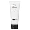 PCA SKIN Purifying Skin Care Face Mask - Cleansing Skincare Facial Mask Infused with Clay & Eucalyptus, Exfoliates Dead Skin Cells, Pores, Acne & Blackheads for a Healthier, Clear Complexion (2.1 oz)