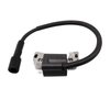 Ignition Coil and Spark Plug Kit for Briggs and Stratton 594626 594456 595304 799650 795315 592841 595038 Engine, Replace MTD G1236 CC760ES CC760 Lawn Mower Ignition Coil