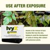 CoreTex Ivy X Post-Contact Poison Ivy Cleanser Soap Bar (Large) - 3oz Bar of USA-Made Relief Soap to Remove the Itch Before it Starts - Also Works on Poison Oak & Sumac Oils