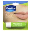 Vaseline Lip Therapy Stick with Petroleum Jelly (Aloe Vera, Pack of 2)