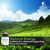 Green Tea Extract Capsules 1000mg 98% Standardized EGCG - 3X Strength for Natural Energy - Heart Support with Polyphenols - Gentle Caffeine - 240 Capsules