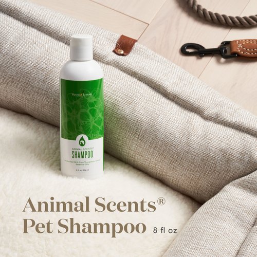 Young Living Animal Scents Pet Shampoo - Contains Pure Essential Oils - 8 fl oz