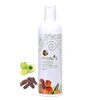 Payal's Herbal Shampoo 400ml