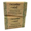 Greenwich Bay Trading Co, Essential Oil Cucumber and Mint Exfoliating Bath Bar Soap, Set of 2, 8.6 Ounces Each