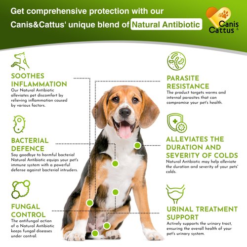Natural Herbal Supplement | Pet Antibiotic | Natural Antibiotics for Dogs | Antibiotics for Dogs | Natural Antibiotics for Cats | Antibiotic for Cats| 2 Oz