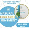 BenePura Cold Sore Ointment 1.35 fl. Oz - Natural Cold Sore Cream Lip Moisturizer for Very Dry Lips - Lip Repair for Dry Cracked Lips - Cold Sore Lip Balm with Plantain and Tea Tree Oil