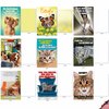 NobleWorks - 36 Assorted Funny Blank Animal Greeting Cards Box Set w/Envelopes, All Occasions Humor Friendship Notes for Men, Women (36 Designs, 1 Each), Our Pet Collection AC6654OCB-B1x36