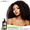 Arganicare Natural Macadamia Shampoo for Dry Damaged Hair - Hair Repair Treatment for Damaged Hair Enriched with Argan Oil, Shea Moisture, and Witch Hazel - Macadamia Hydrating Shampoo | 13.5 fl oz