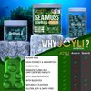 Sea Moss Gummies - Irish Seamoss Gummies for Adults & Kids - Advanced Superfood Supplement with Natural Sea Moss Gel, Bladderwrack & Burdock Root Extract - 60 Vegan Irish Moss Gummy Bears