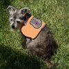 Registered Service Dog Vest - for Smaller Service Dogs (XX Small: 4-7 Pounds, Red) - Includes 5 Federal Law Cards