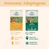 ORGANIC INDIA Calming Tulsi Ashwagandha Tea - Organic Tea Bags, Holy Basil Tea, Vegan, USDA Certified Organic, Non-GMO, Caffeine Free Tea - 18 Infusion Bags, 1 Pack