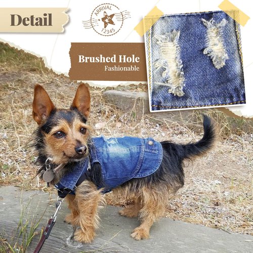 DOGGYZSTYLE Pet Vests Dog Denim Jacket Hoodies Puppy Jacket for Small Medium Dogs (XS, Blue)