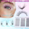 Lash Clusters Wispy Eyelash Clusters C Curl Individual Lashes zanlufly Natural 300Pcs Cluster Lashes Eyelash Extension 10-14MM DIY Lash Extension