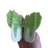 Funny Cabbage Hair Clip,Acetate Claw Clips,Hair Clips for Women,Grass Green