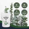 Aromasong Tea Tree Foot Soak Treatment with 7 Essential Oils - OptiMSM - Eucalyptus Oil with Dead Sea Salt 14 OZ.