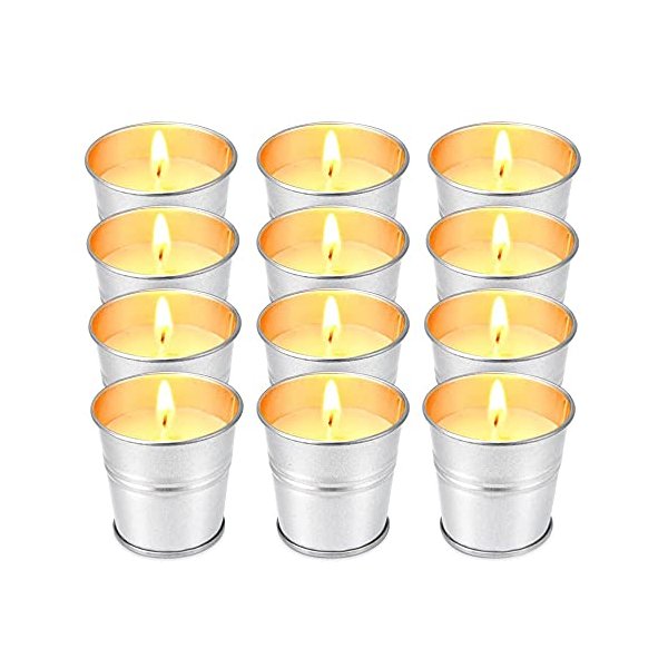 Hausware Citronella Candles Outdoor Indoor - 2.5 oz Scented Candles Set 12 Pack Natural Soy Wax citronella Candles for Garden Patio Yard Home Balcony Camping Backyard