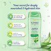 Yuthika Body Lotion Gel Aloe Vera Smooth Care 100ml Pack of 1, Soft Touch Gel Body Lotion for Summer, Winter, Light Moisture for Face and All Skin Types, Aloe Vera Body Lotion