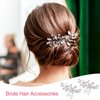 OIIKI 1 PCS Silver Rhinestone Hair Comb, Clear Rhinestones Metal Bridal Hair Comb, Wedding Crystal Hair Accessories for Women, Brides for Christmas, Parties, Prom, Dance