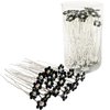 BETITETO Rhinestone Flower Hair Pins, 40 Pcs U-Shaped Crystal Party Wedding Bridal Hair Accessories for Women Girls (Black)
