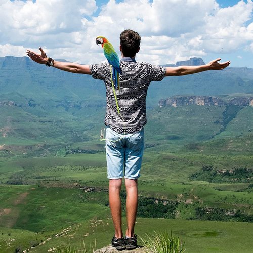 Parrot Bird Harness Leash Stretchable to 5 Meters Anti-bite Outdoor Flying Training Rope with 5pcs Different Sizes of Soft Foot Loops(Upgraded Version)