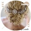 Salliy Wedding Hair Comb Blue Leaf Bridal Hair Piece Silver Rhinestone Hair Accessories for Women and Girls (F)