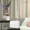 Levona Scents Pure Essential Oils for Diffusers for Home Luxury Scents - Restful Lavender Essential Oil is A Floral Blend of Eucalyptus, Bergamot, Lavender - Aroma Diffuser Oil