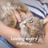 Applaws Natural Wet Cat Food, 8 Count, Limited Ingredient Cat Food Pots, Fish Variety Count in Broth, 2.47oz Pots