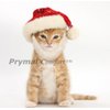Prymal Comfort Santa Dog Cat Costume