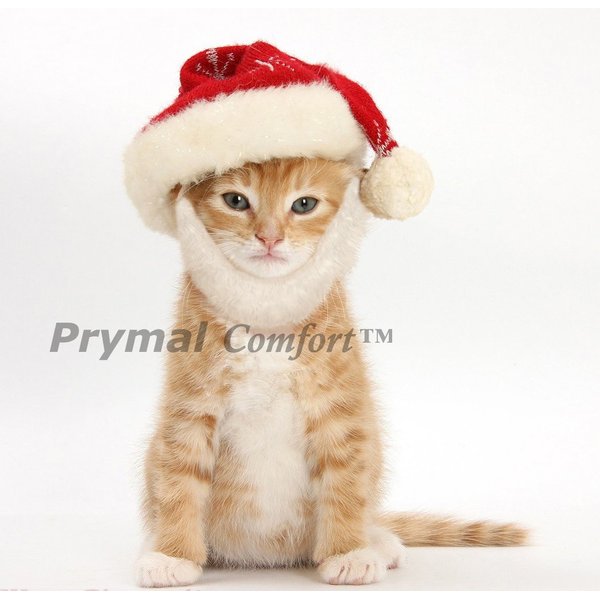Prymal Comfort Santa Dog Cat Costume