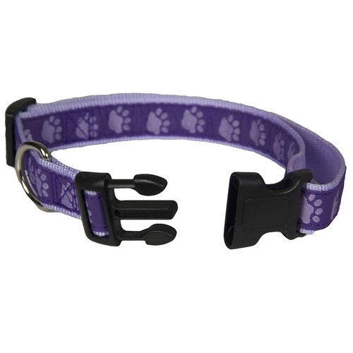 Purpletopia Paw Print Dog Collar
